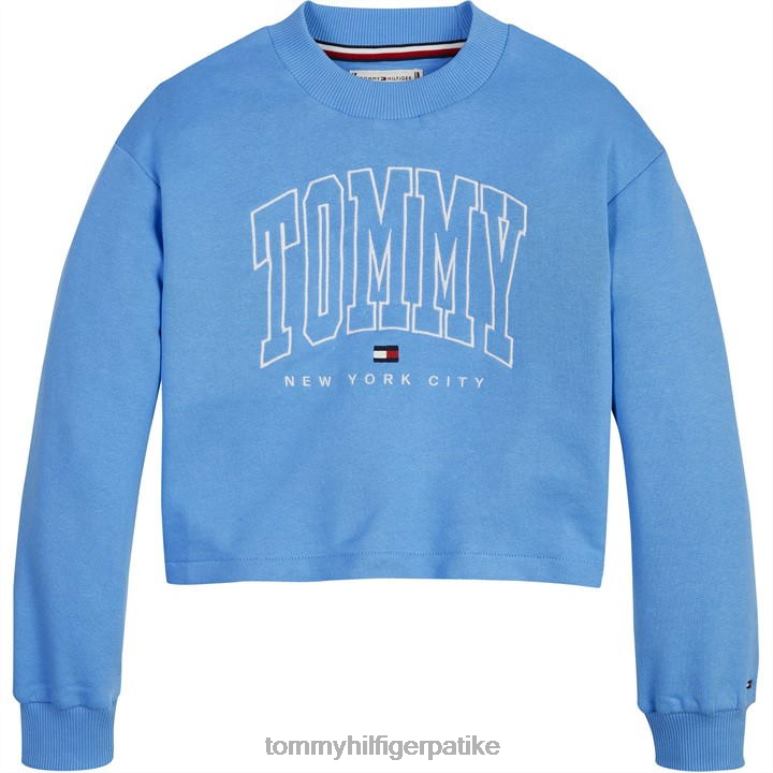 Tommy Hilfiger смела варијететска изрезана посада - 2D08020142 Tommy Hilfiger Clothing плава срушити вио