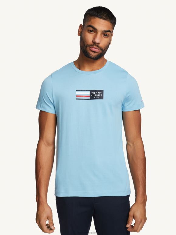 Tommy Hilfiger цорп графичка мајица - 2D0801568 Tommy Hilfiger Clothing цолумбиа блуе
